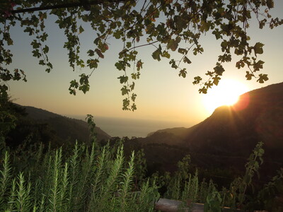 picture of Dalyan 2018
 Turkey