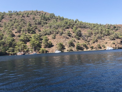 picture of Dalyan 2022
 Turkey
