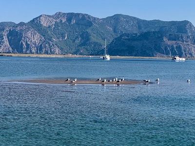 picture of Dalyan 2024
 Turkey