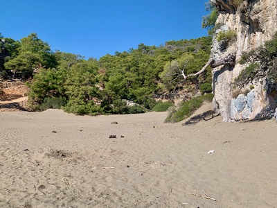 picture of Dalyan 2024
 Turkey