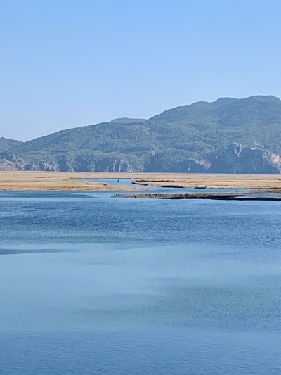 picture of Dalyan 2024
 Turkey