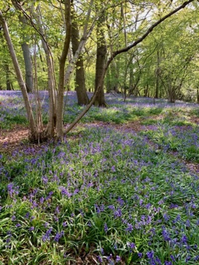 picture of Claverdon
 UK