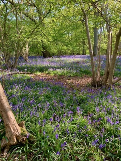 picture of Claverdon
 UK