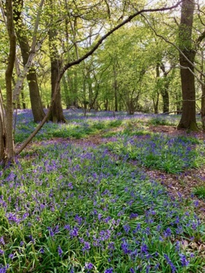 picture of Claverdon
 UK