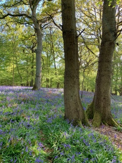 picture of Claverdon
 UK