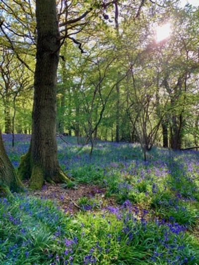 picture of Claverdon
 UK