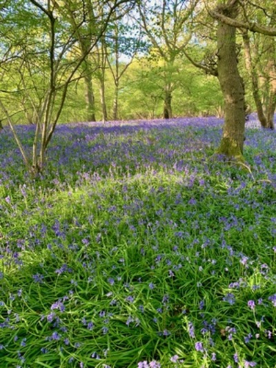 picture of Claverdon
 UK