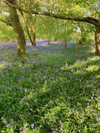 picture of Claverdon
 UK