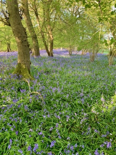 picture of Claverdon
 UK