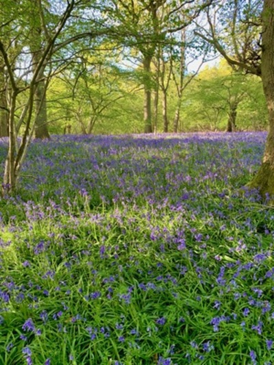 picture of Claverdon
 UK