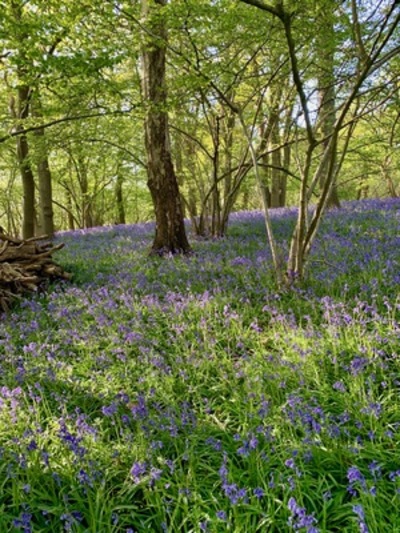 picture of Claverdon
 UK