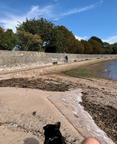 picture of Exeter
 UK