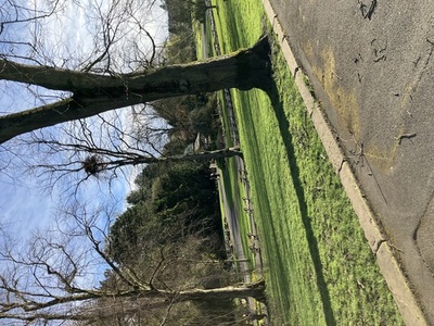 picture of Harrogate
 UK