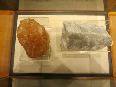 picture of London Natural History Museum Jan 2014
 UK