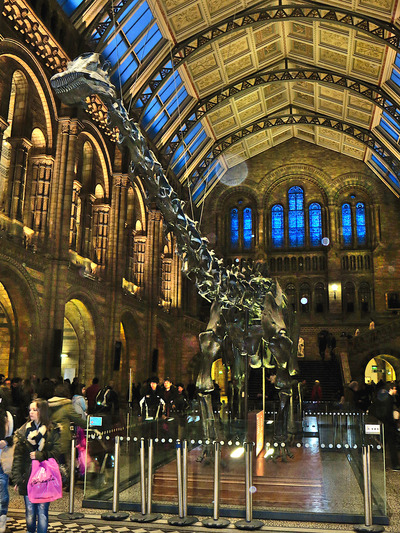 picture of London Natural History Museum Jan 2014
 UK
