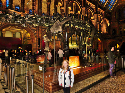 picture of London Natural History Museum Jan 2014
 UK