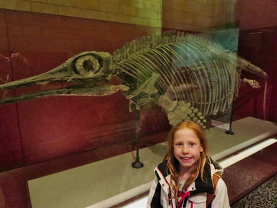picture of London Natural History Museum Jan 2014
 UK