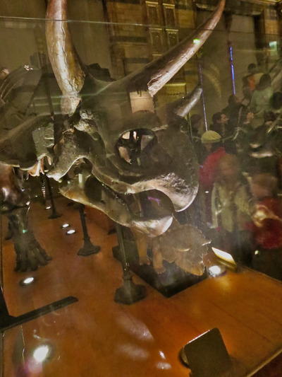 picture of London Natural History Museum Jan 2014
 UK