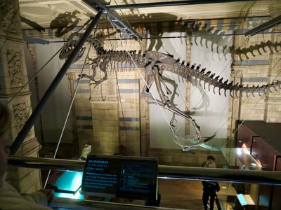 picture of London Natural History Museum Jan 2014
 UK