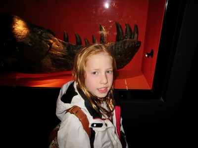 picture of London Natural History Museum Jan 2014
 UK