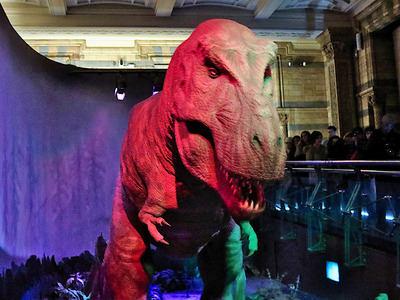 picture of London Natural History Museum Jan 2014
 UK