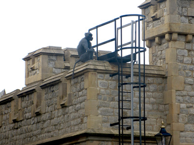 picture of London Nov 2012
 UK