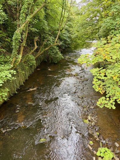 picture of Peak District 2026
 UK