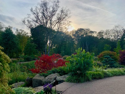 picture of RHS Bridgewater, Manchester
 UK