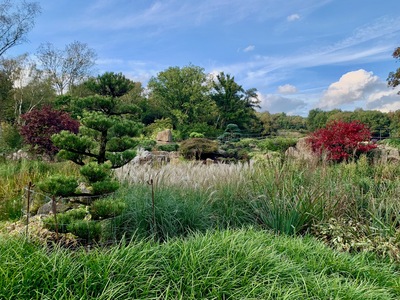 picture of RHS Bridgewater, Manchester
 UK
