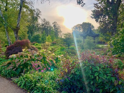 picture of RHS Bridgewater, Manchester
 UK