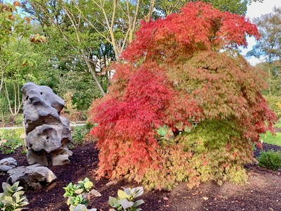 picture of RHS Bridgewater, Manchester
 UK