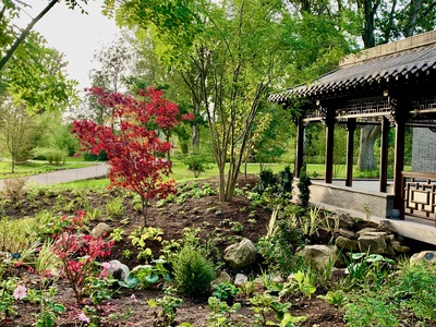 picture of RHS Bridgewater, Manchester
 UK