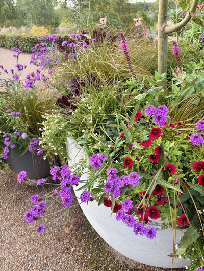picture of RHS Bridgewater, Manchester
 UK