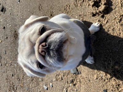 picture of Redcar Beach
 UK