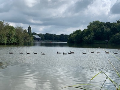 picture of Redditch
 UK