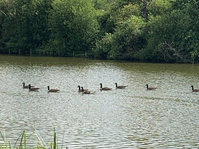 picture of Redditch
 UK