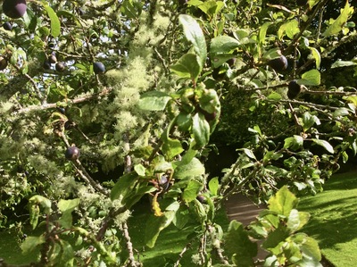 picture of Scotland Sep 2015
 UK