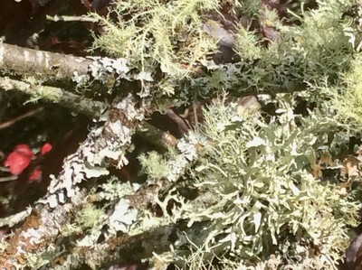 picture of Scotland Sep 2015
 UK