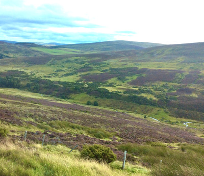 picture of Scotland Sep 2015
 UK