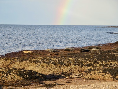 picture of Scotland Sep 2015
 UK