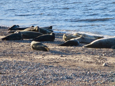 picture of Scotland Sep 2015
 UK