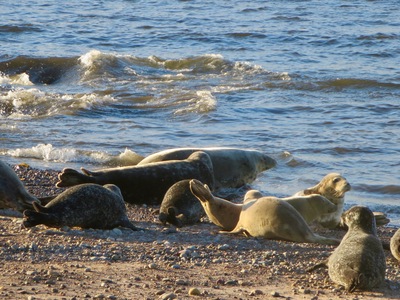 picture of Scotland Sep 2015
 UK