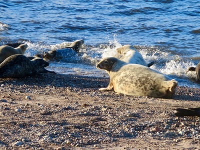 picture of Scotland Sep 2015
 UK