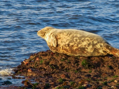 picture of Scotland Sep 2015
 UK