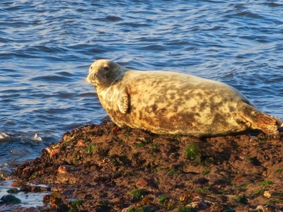 picture of Scotland Sep 2015
 UK