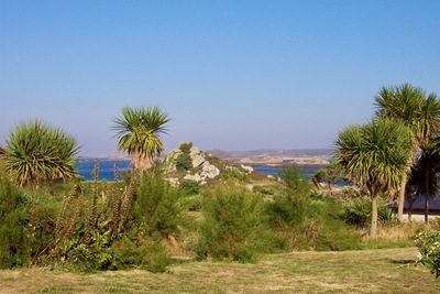picture of Tresco 2002
 UK