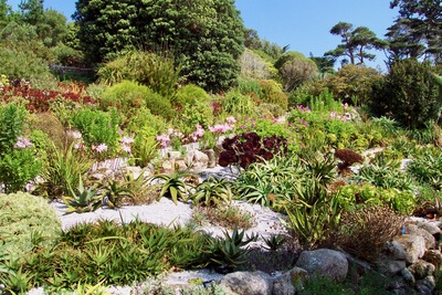 picture of Tresco 2002
 UK