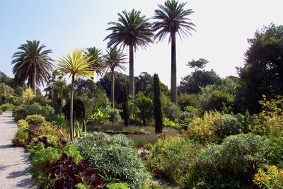 picture of Tresco 2002
 UK