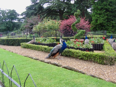 picture of Warwick Castle 2007
 UK