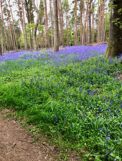 picture of Wootten Wawen
 UK